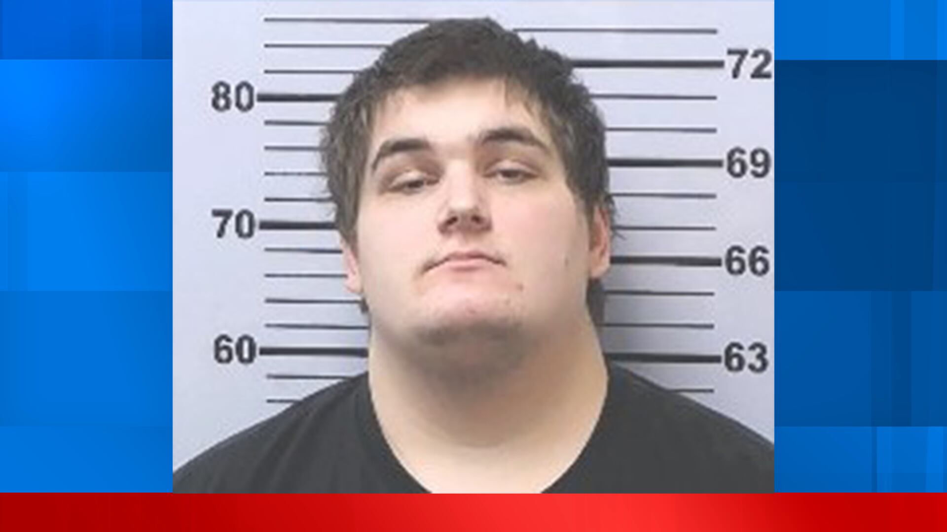 Mobile County man charged with stabbing family dog