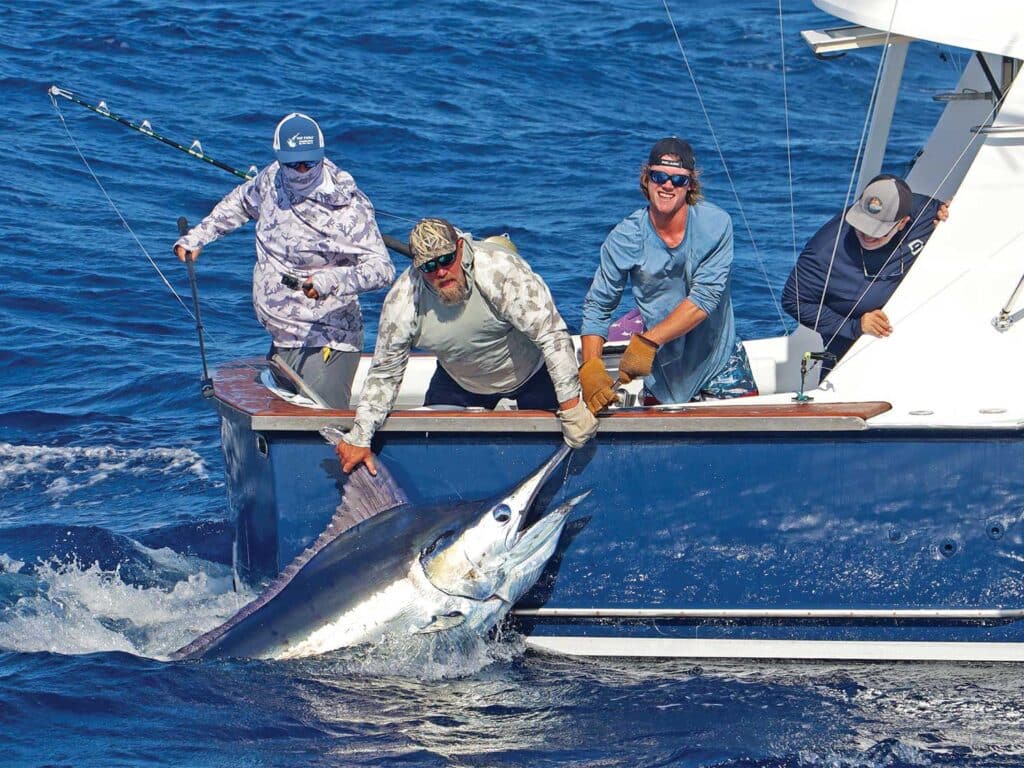 The Azores named editor’s choice for best big-game fishing in the North ...