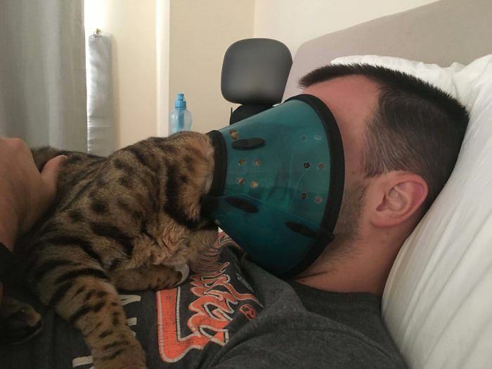 48 Times People Captured Their Cats Losing Their Single Brain Cell (Best Pics)