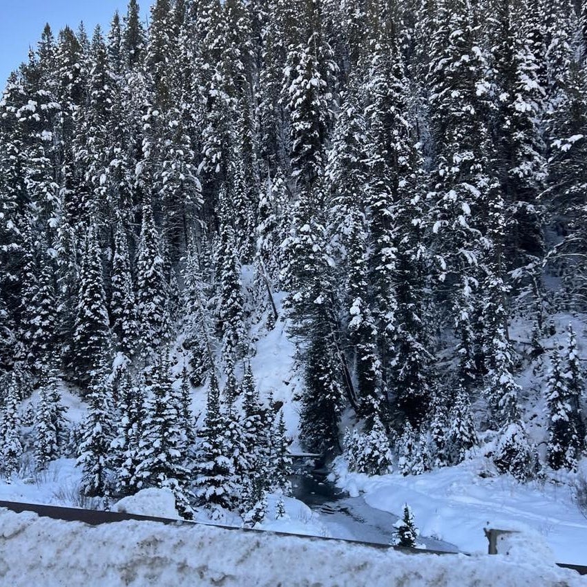 Avalanche kills snowmobiler in Wyoming, 4th fatality this month<br>