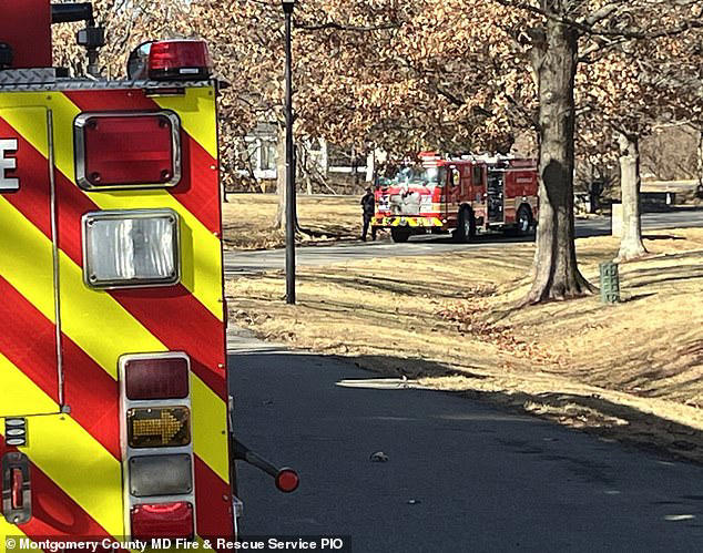 $1m mansion is completely destroyed by fire thanks to owner's act of ...