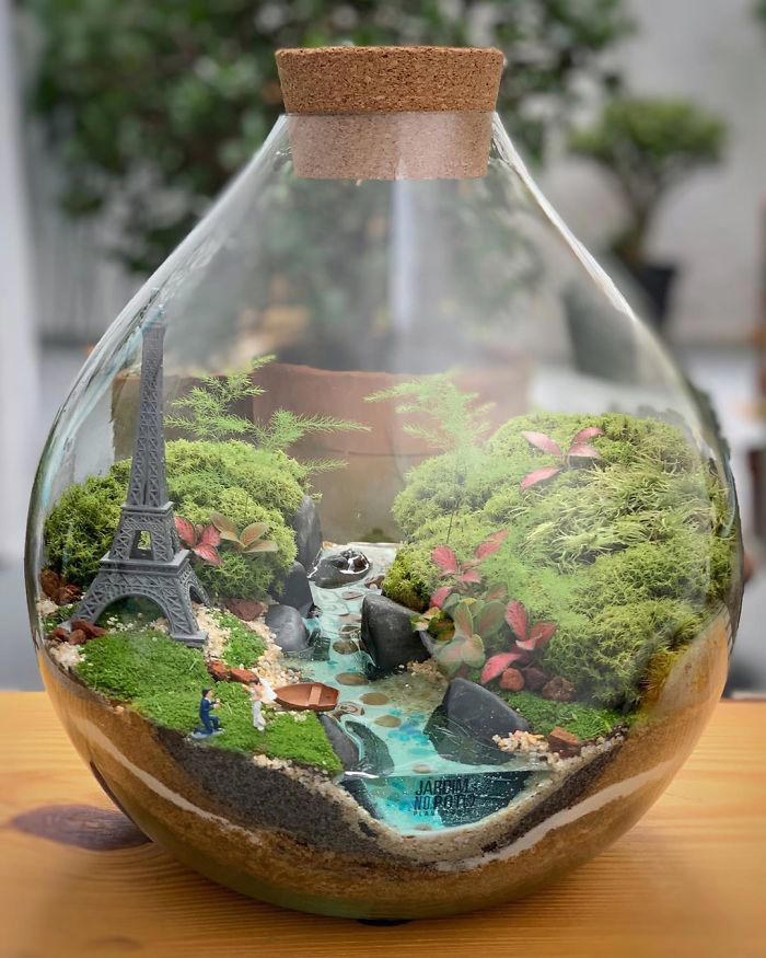 Miniature worlds: 30 self-sustaining ecosystems in glass