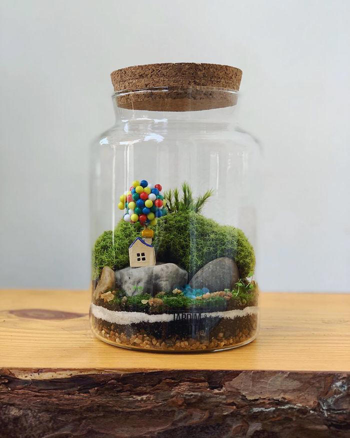Miniature worlds: 30 self-sustaining ecosystems in glass