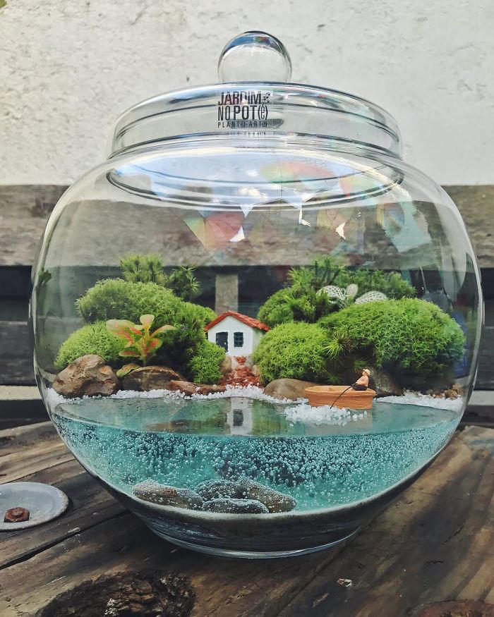 Miniature worlds: 30 self-sustaining ecosystems in glass