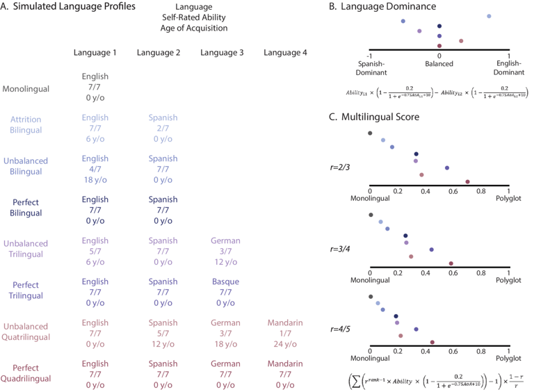 Are you truly multilingual? A new calculator has the answer