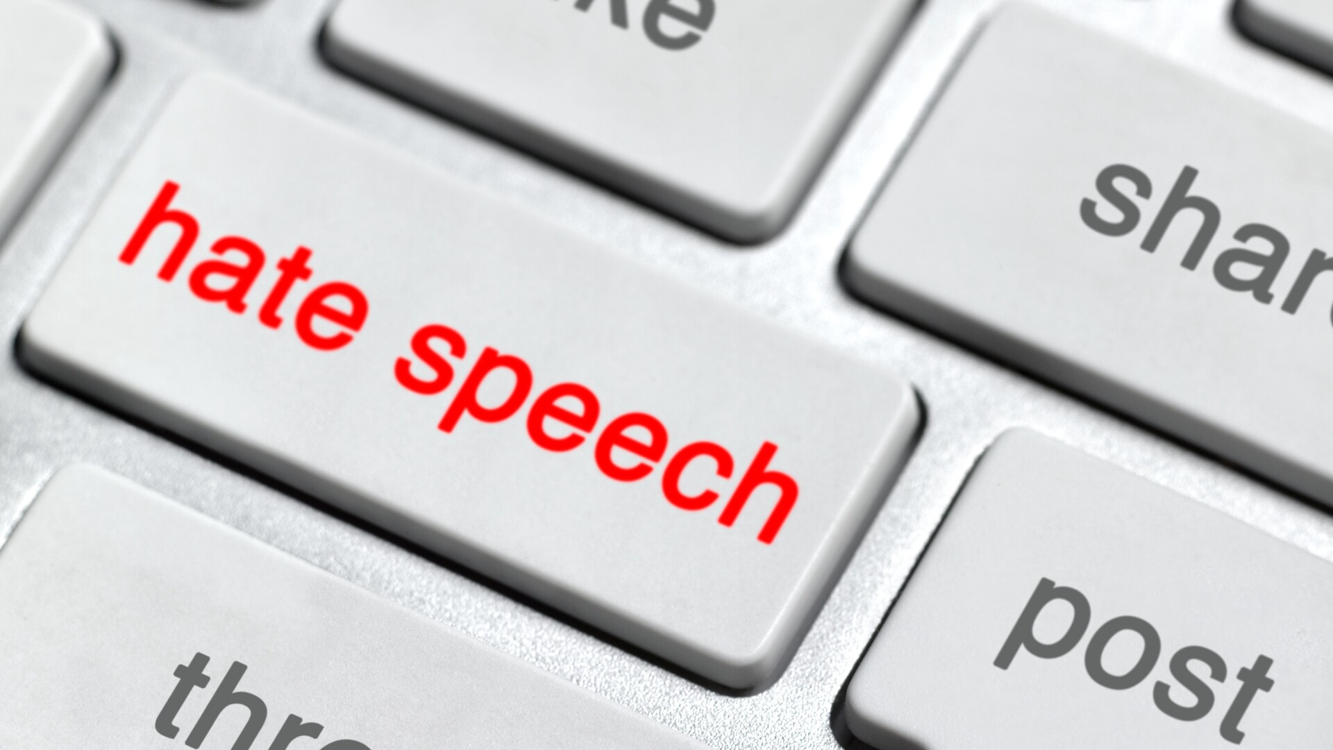 Neo-Nazi group forced to disband over hate speech laws