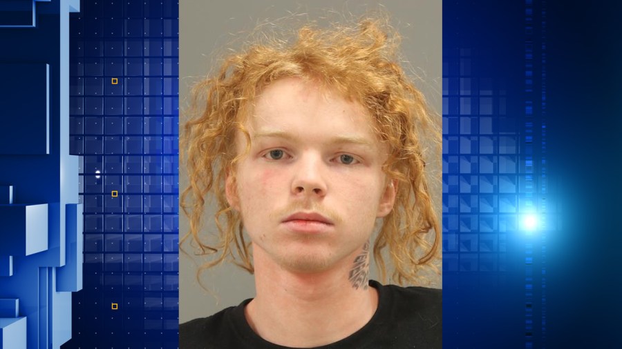 Rockford police capture teen accused of car theft and armed robbery