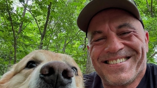 Joe Rogan breaks with Trump after Renee Nicole Good ICE shooting; ‘are ...