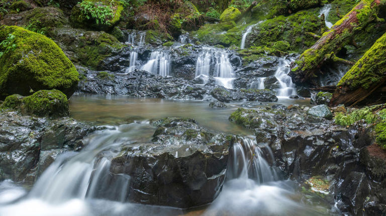 Between San Francisco and Santa Rosa is California's breathtaking park ...