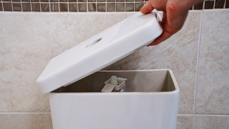 If you put baking soda in your toilet tank, here's what will happen