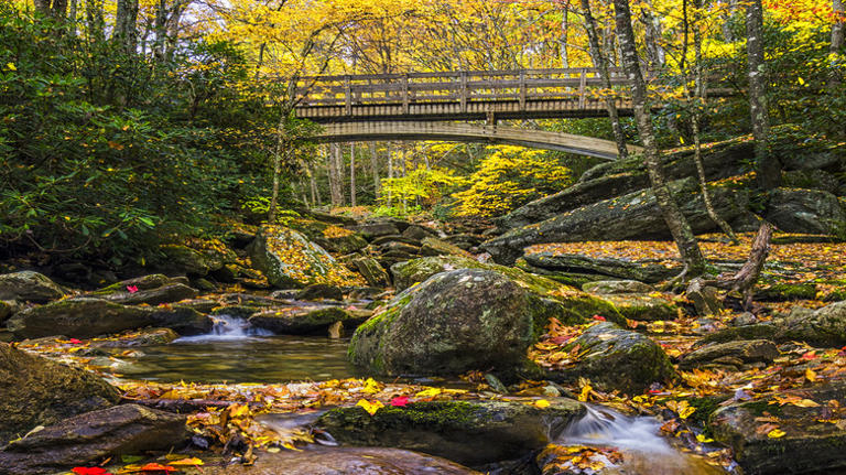 The 5 longest hiking trails in North Carolina's Blue Ridge Parkway