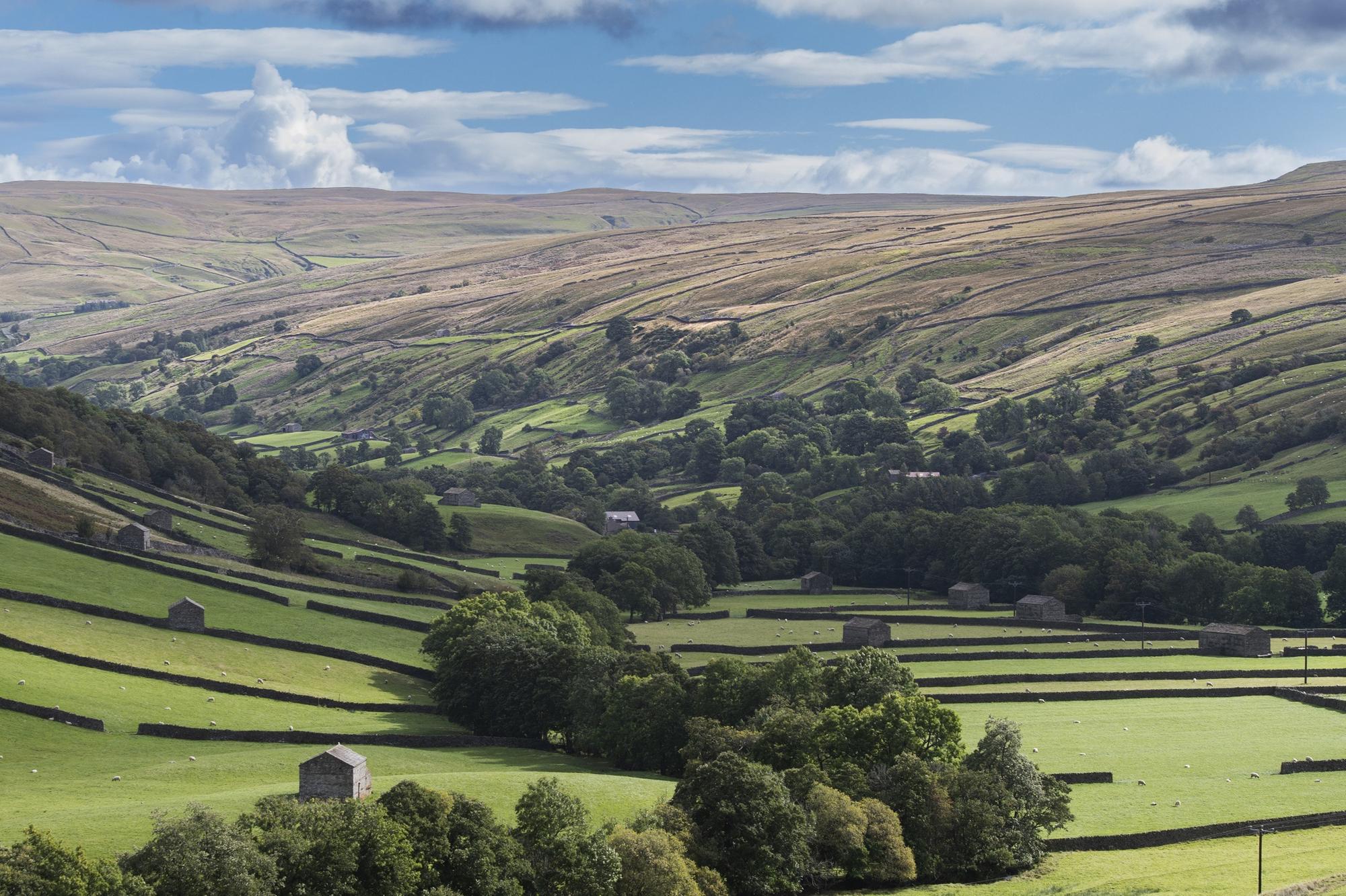 Strategy adopted to shape future of nature in North Yorkshire and York