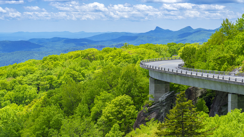 The 5 longest hiking trails in North Carolina's Blue Ridge Parkway