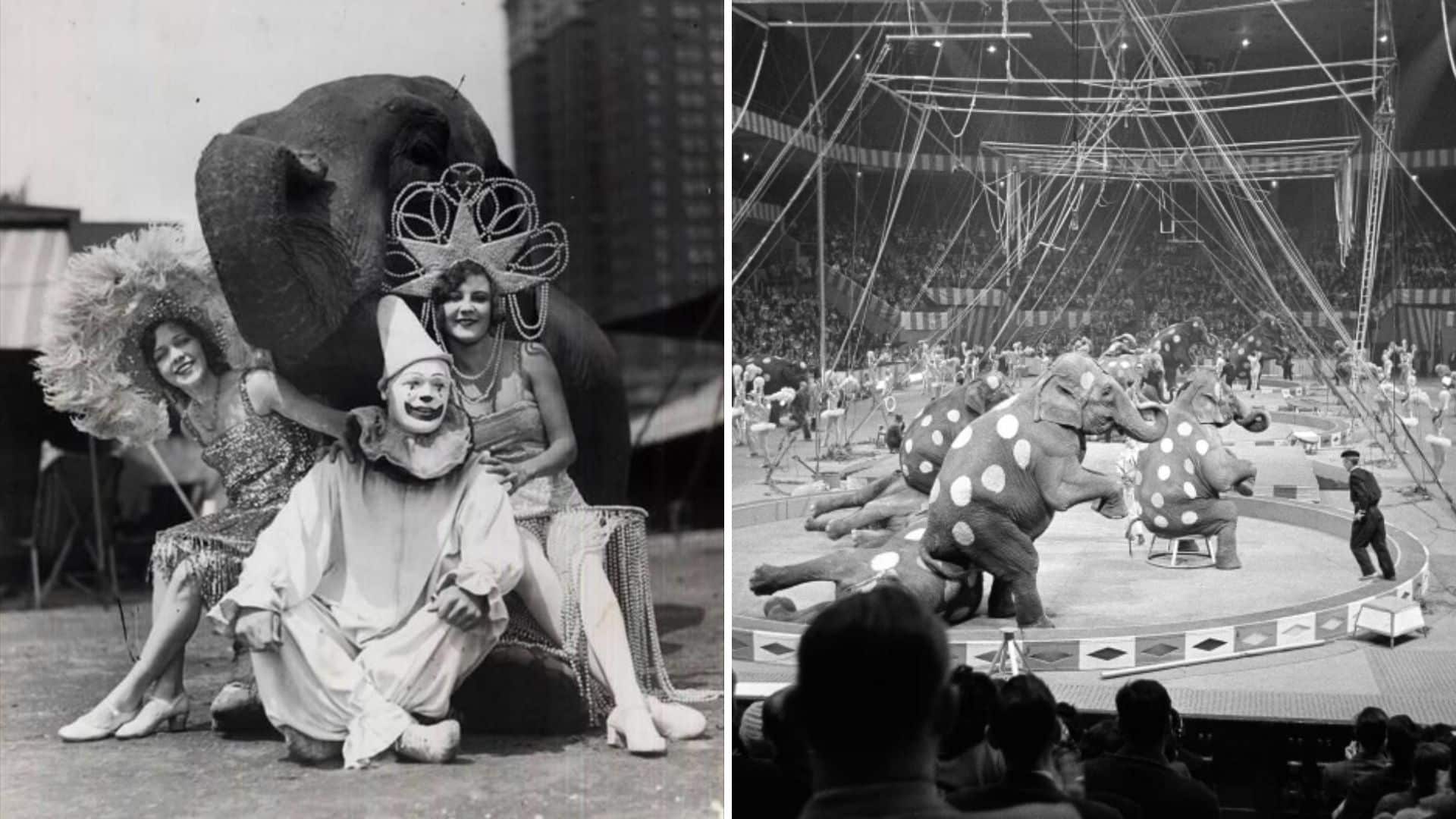 22 vintage snapshots of how the circus evolved over time