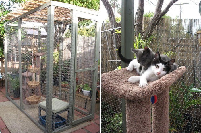 Cat patios, known as catios, are the latest way to spoil your beloved ...