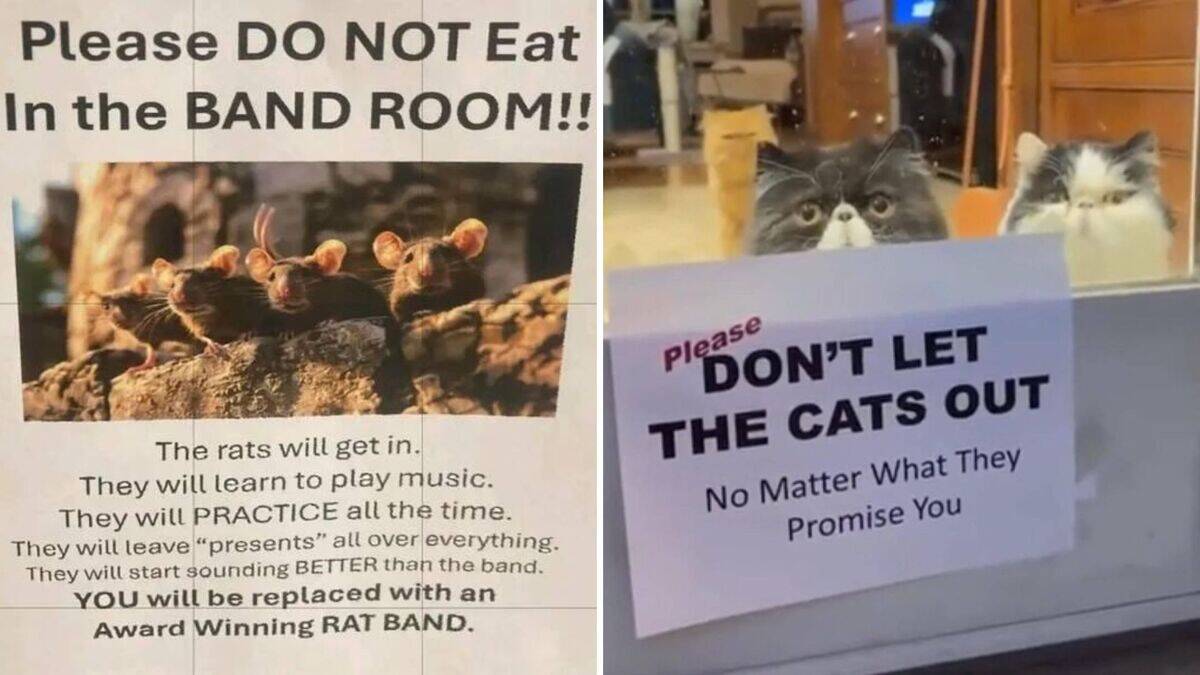 24 witty signs that people spotted out and about