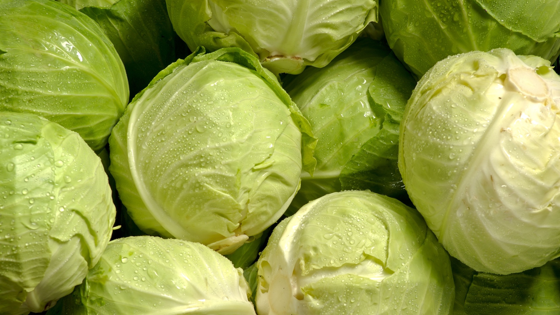 Why adding cabbage to your diet could make a difference to your health