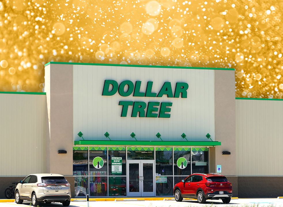 Dollar Tree penny items revealed: Here is everything you can get for ...