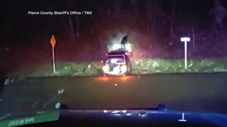 Dog walks away after being thrown from car during police chase, watch