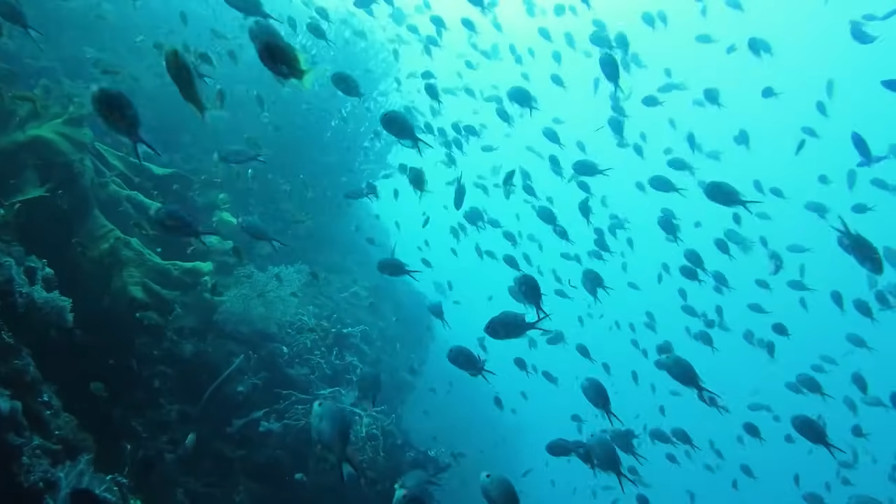 Scientists still can't explain - the deep ocean is hiding something ...