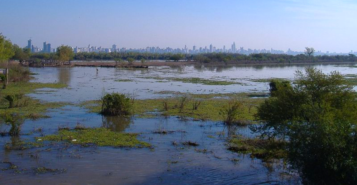 18 of the world’s biggest river deltas are sinking faster than sea ...