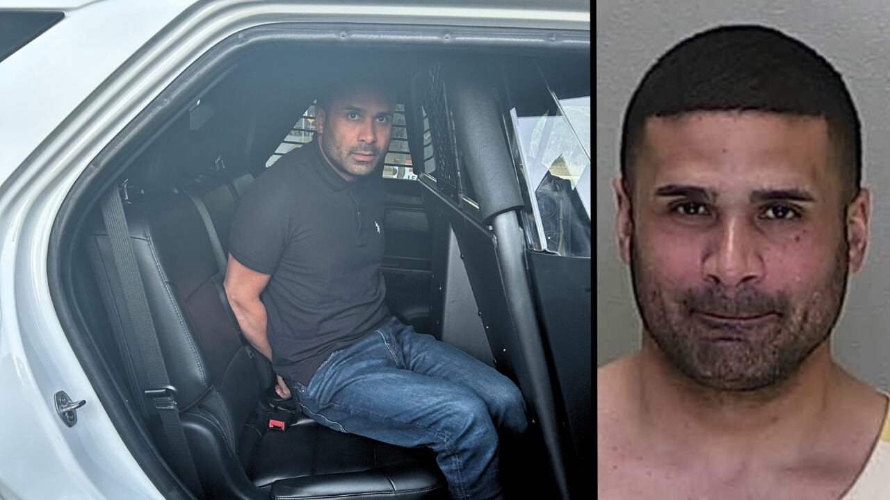 'It is cruelty': Trainer arrested for punching, kicking horse, Marion ...