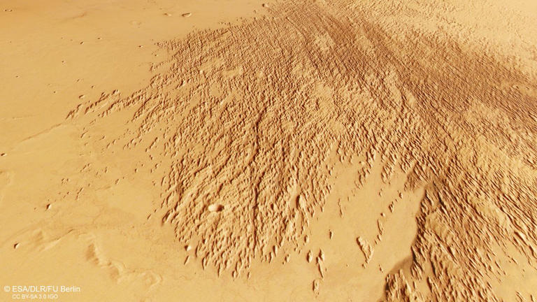 Mars orbiter sees odd etchings in the sand | Space photo of the day for ...