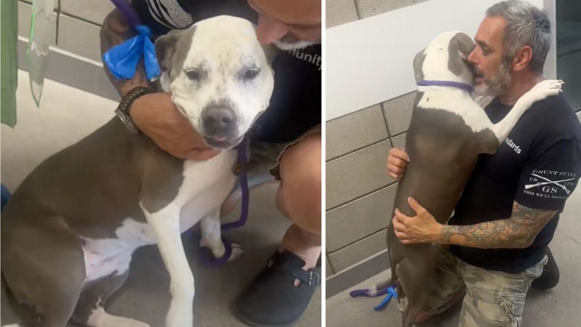 Shelter dog can't stop hugging her rescuer on adoption day—it's impossible  not to cry