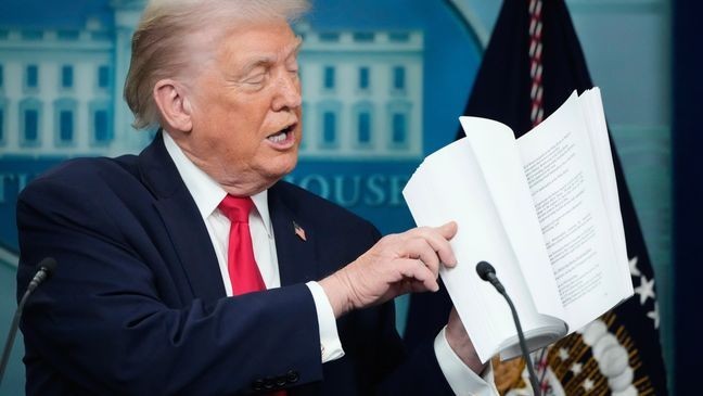 'He's disrupted American politics': Expert analyzes Trump's 1st year in ...