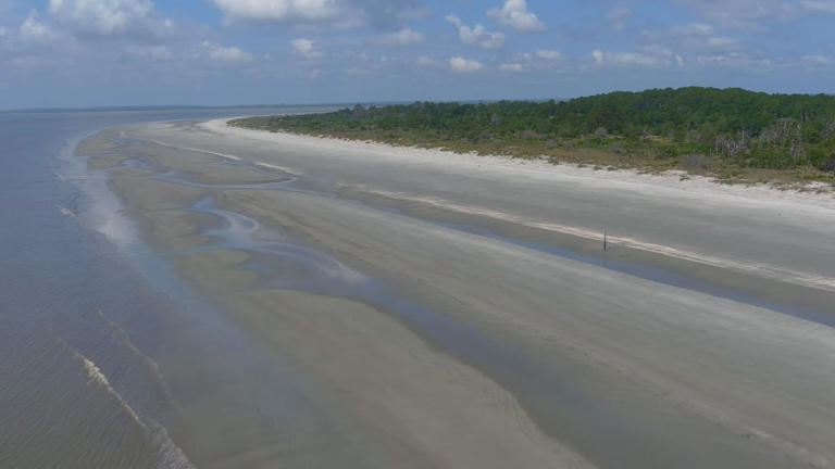 McIntosh County special election: Gullah Geechee community fights to ...