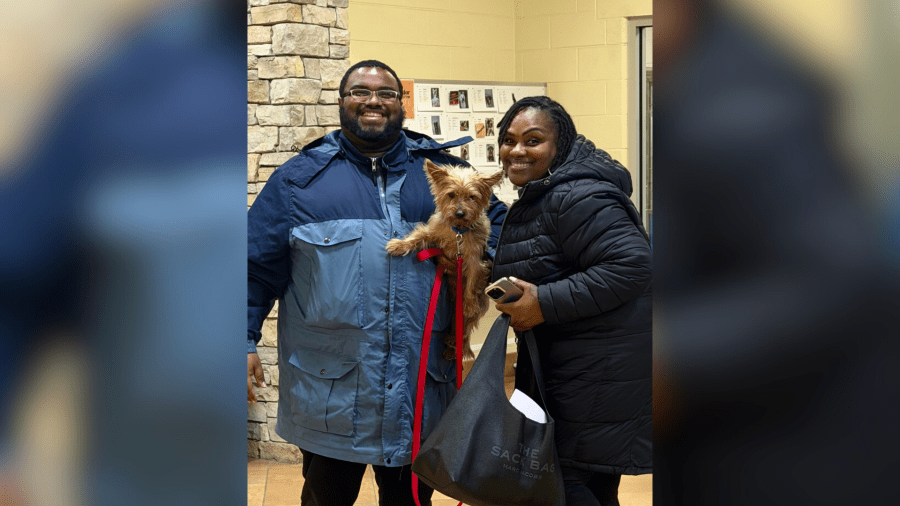 Missing dog reunites with Maryland family after almost 3 years: Fairfax ...