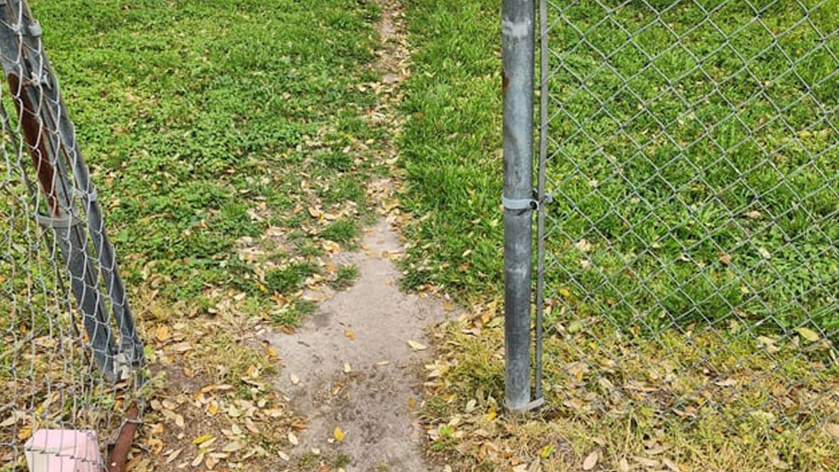 94 desire paths that show human stubbornness in the nicest way possible ...