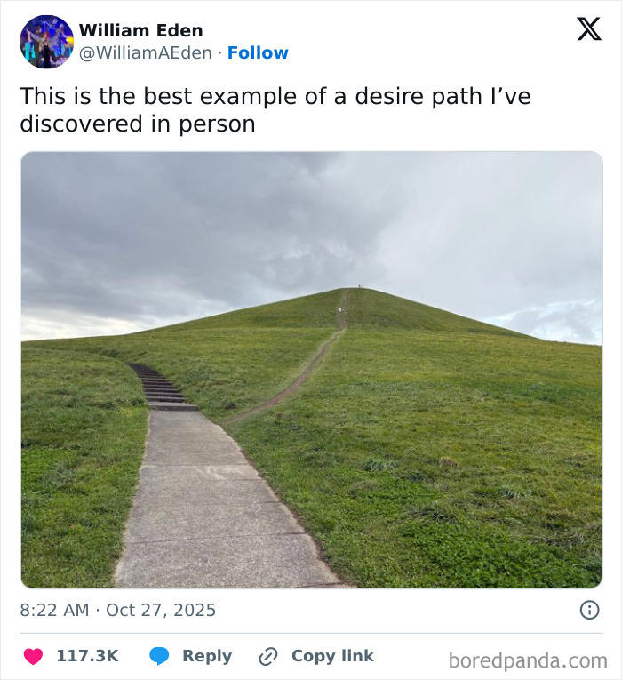 94 desire paths that show human stubbornness in the nicest way possible ...