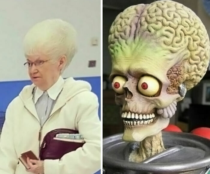 “Blursed”: 48 images that are giving both “blessed” and “cursed” energy