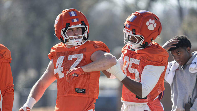 The state of Clemson's linebacker room following Luke Ferrelli's ...