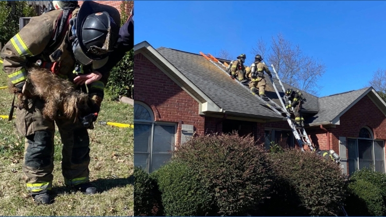 Multiple crews assist at Madison County house fire; three dogs rescued