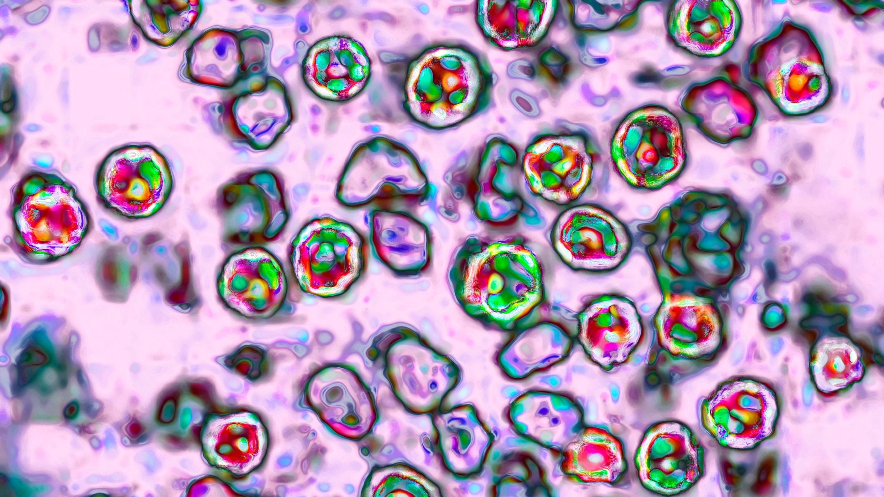 This state just surpassed 900 measles cases as outbreak continues to spread