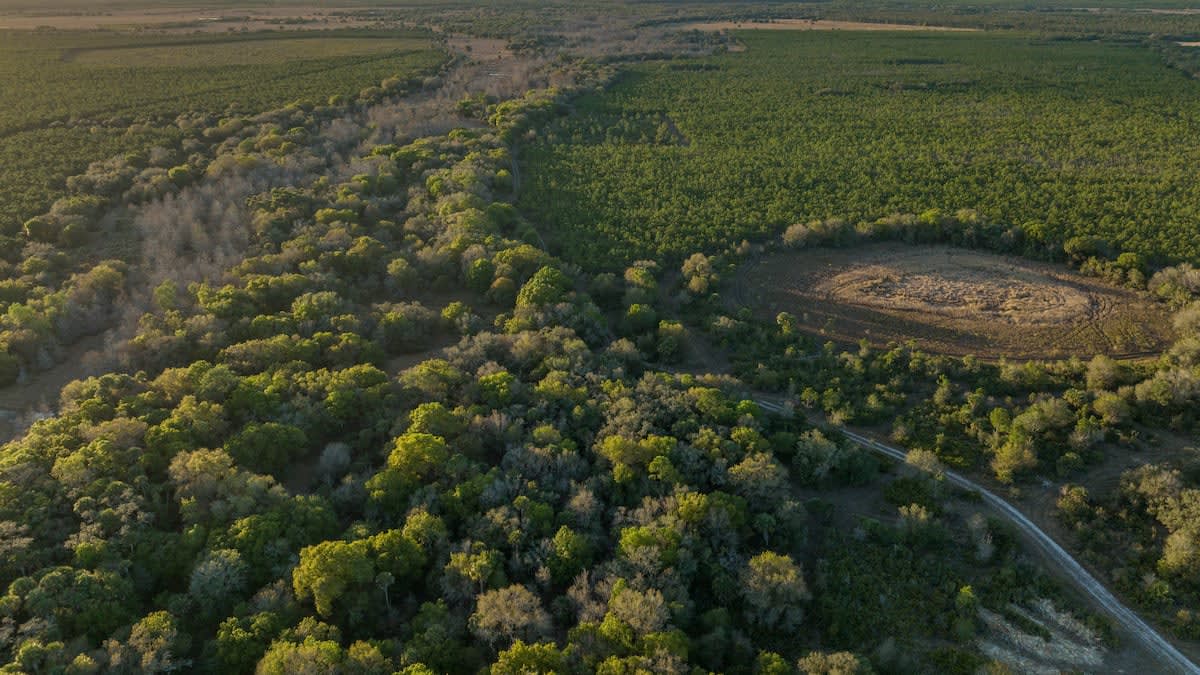 Why Florida must fund the Rural and Family Lands Protection Program ...