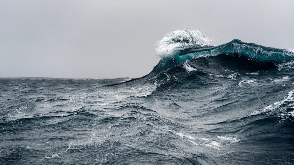 21 ocean facts that both terrified and wowed us