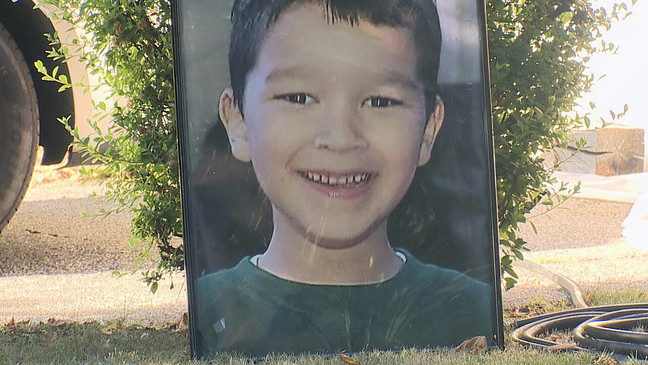 Woman whose dogs mauled 6-year-old to death sentenced to prison