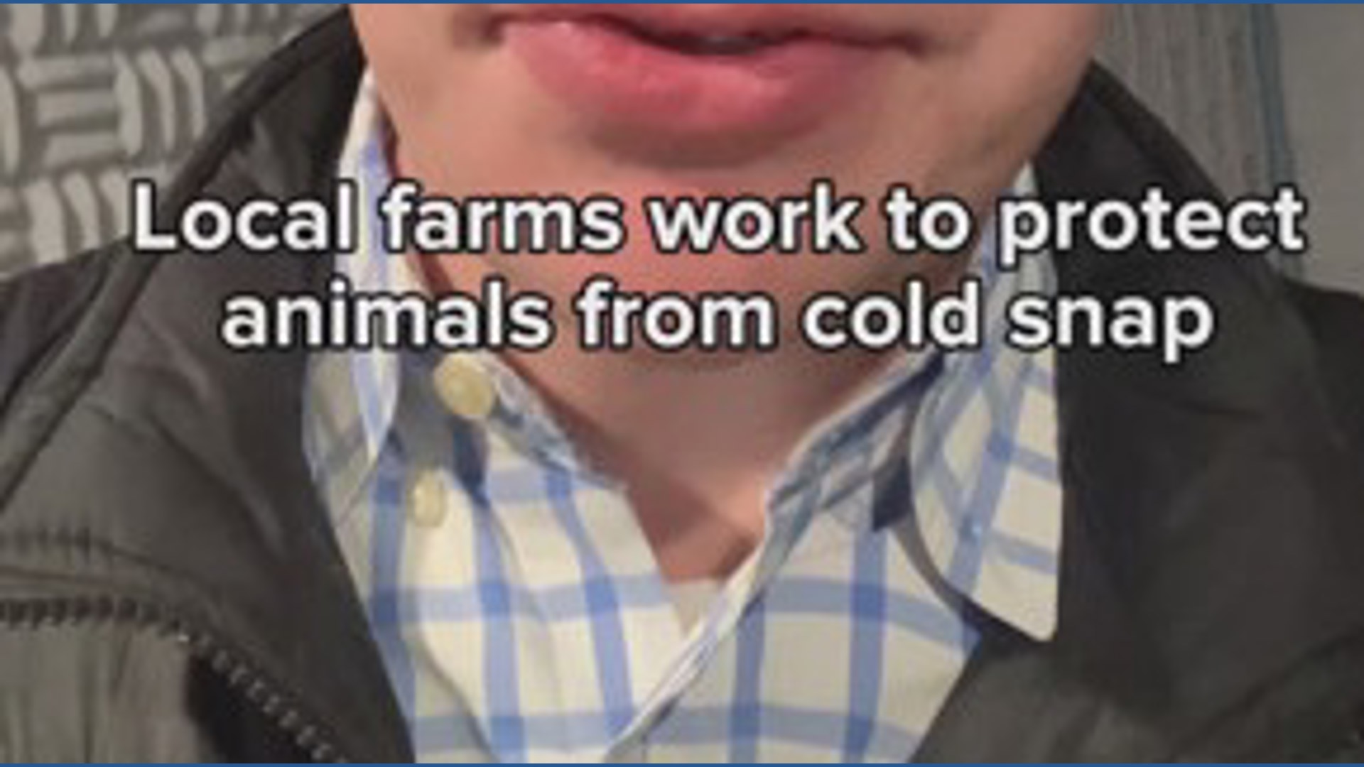 Local farmers work to protect their livestock from the cold snap