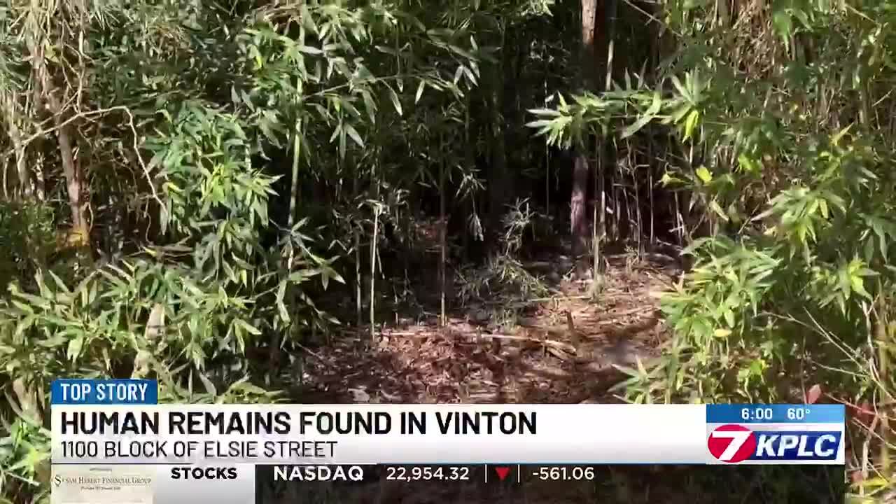 Investigators working to identify human remains found in Vinton