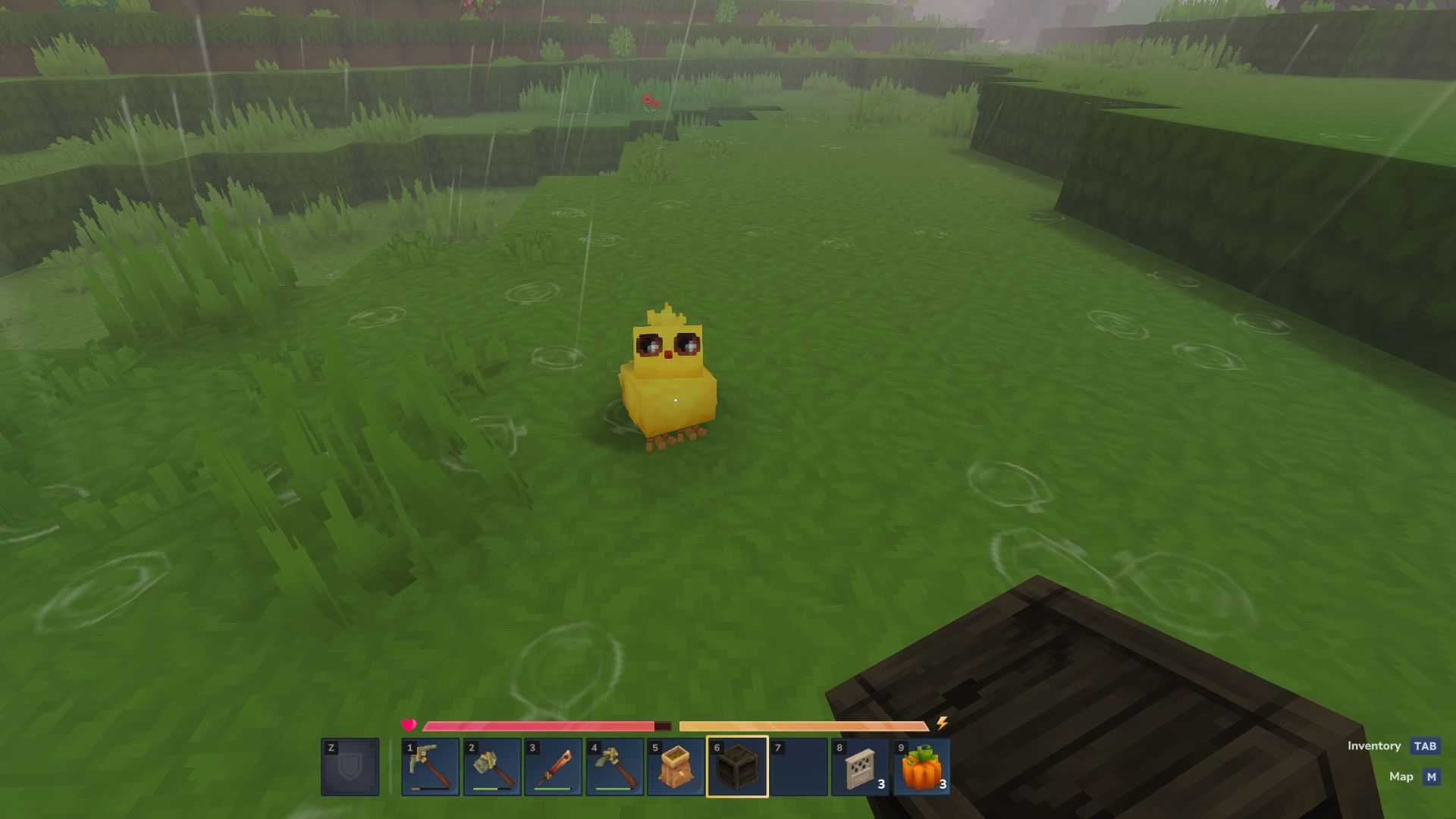 Hytale Capturing a Baby Chicken