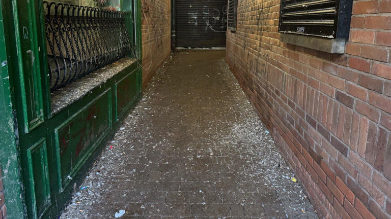 Tens of thousands of rodent reports plague NI