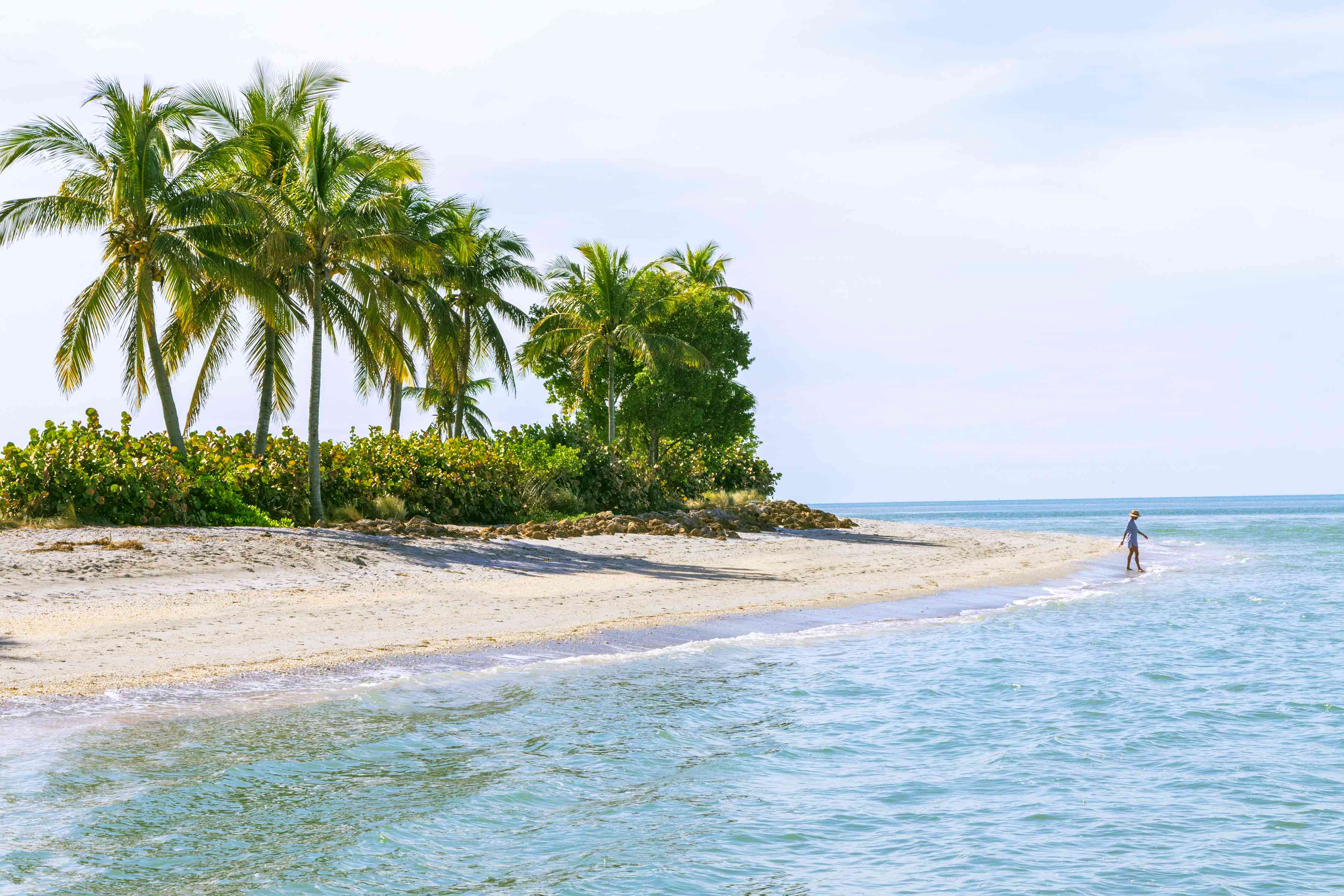 11 Florida beaches packed with stunning seashells and empty shores