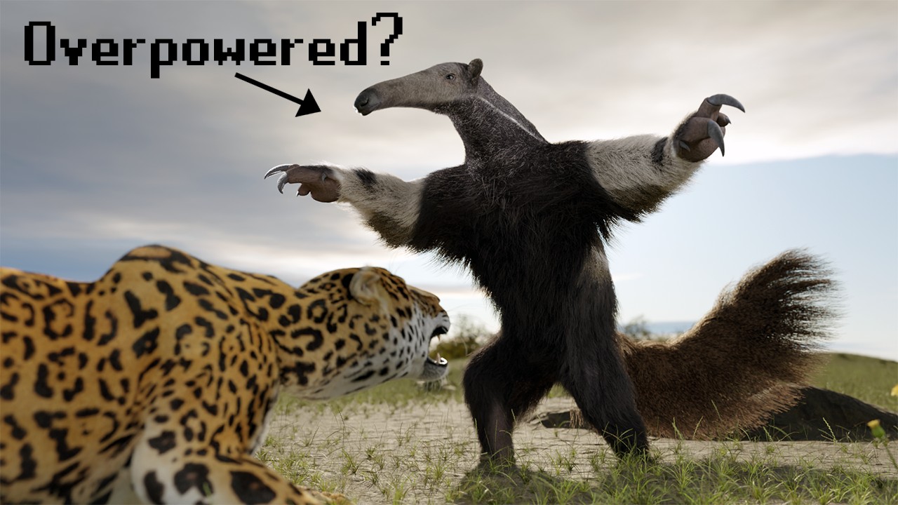 Anteaters vs predators - when claws and size flip the matchup