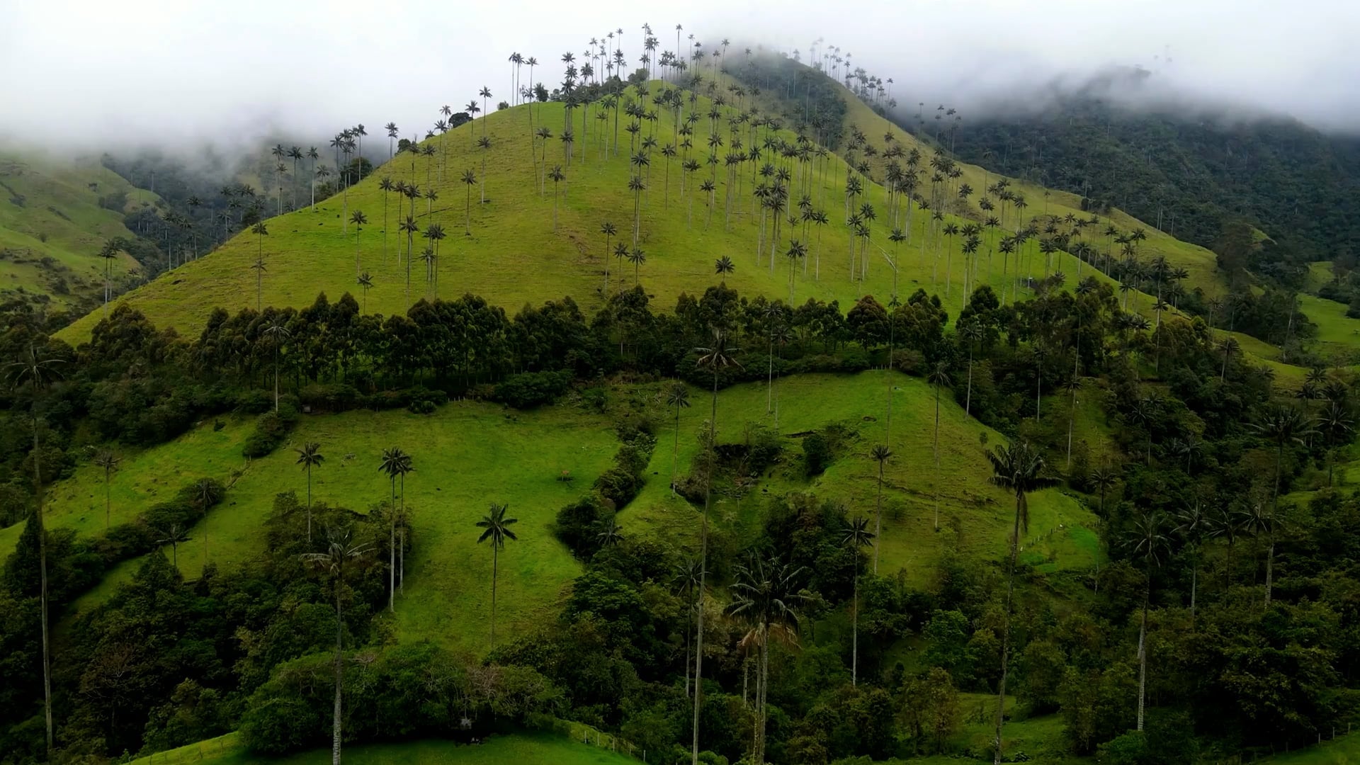 Colombia’s green heart: Explore Cocora Valley’s splendor - Worldwide