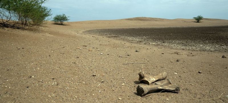 Global water bankruptcy begins: Is the world running out of water ...