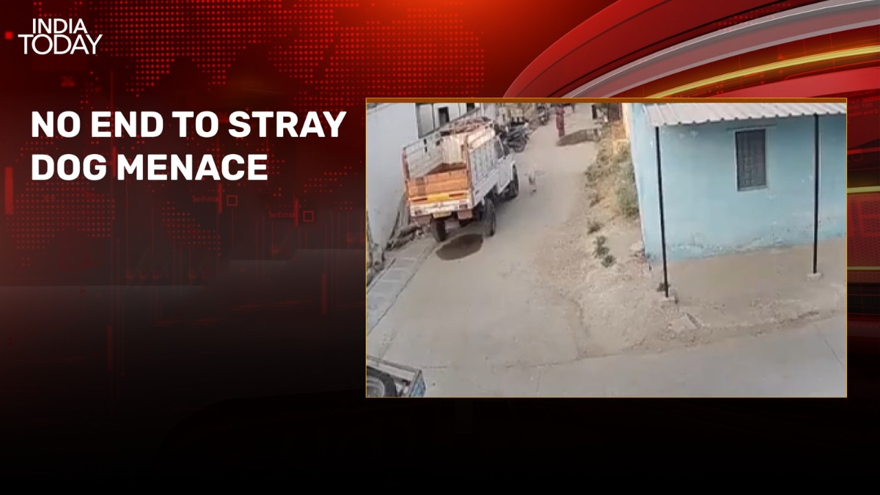 5-year-old boy attacked by stray dog in Hyderabad's Suraram