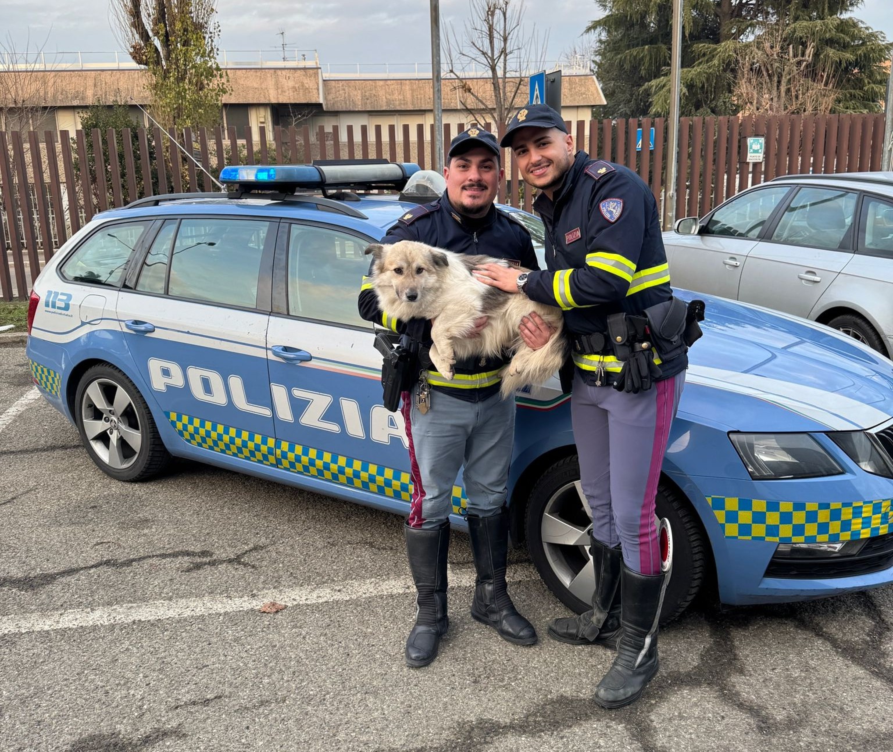 Cane si perde e finisce in Autosole, salvato dalla Polstrada